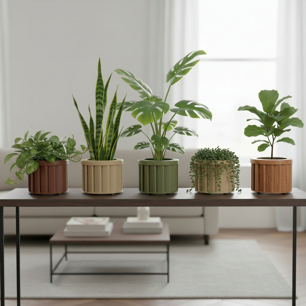 Round Strata Planter SM - Medium Brown Media 7