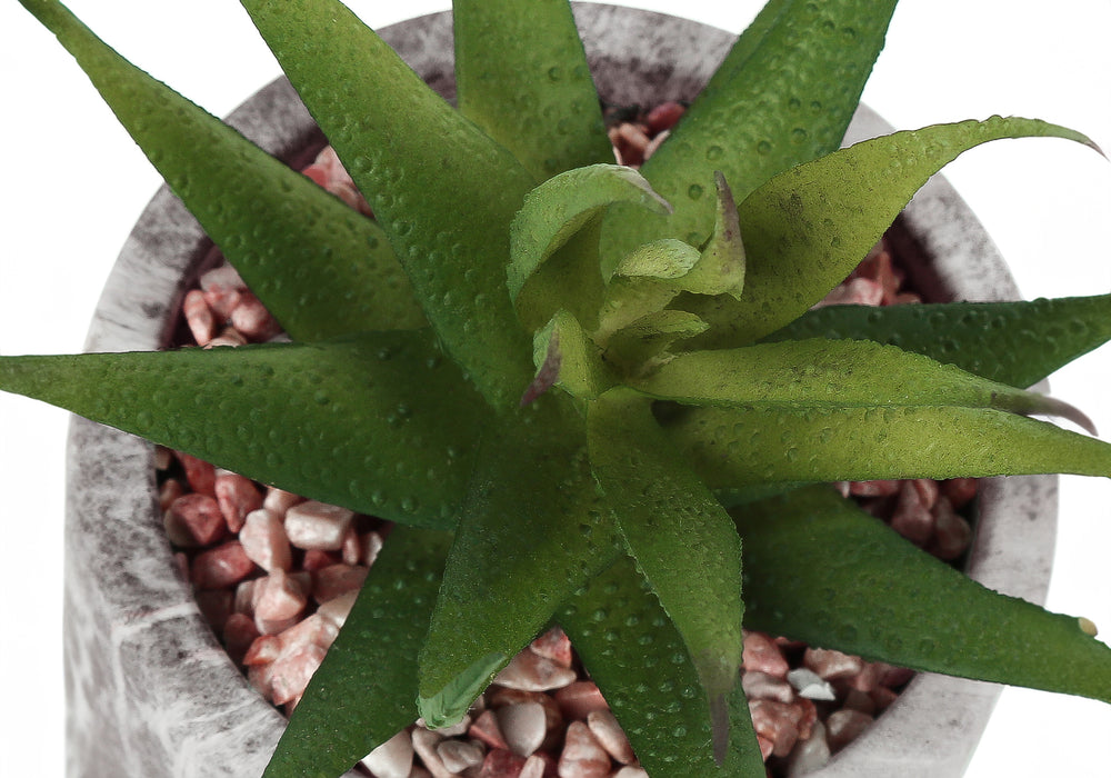 Artificial Plant, 6' Tall, Succulent, Indoor, Faux, Fake, Table, Greenery, Potted, Set Of 2, Decorative, Green Leaves, Grey Cement Pots Media 6