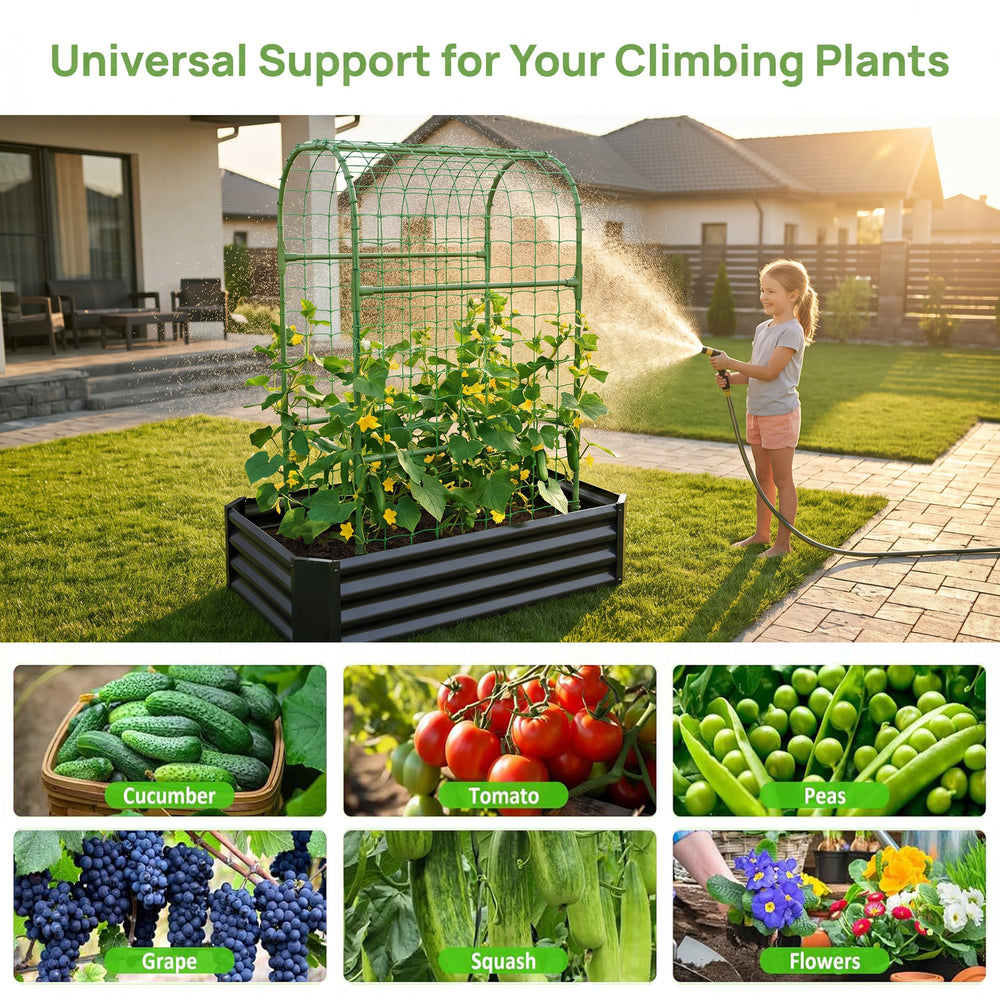 2-in-1 Raised Garden Bed with Trellis - 59' Tall Arch Planter Box for Climbing Plants, Outdoor Galvanized Metal Gardening Bed for Vegetables, Fruits, Flowers (Black, 4x2x1 Ft) Media 6