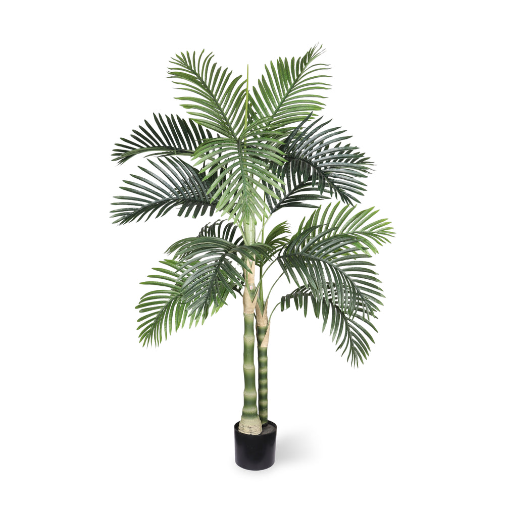 5FT Golden Cane Artificial Palm Tree with Black Plastic Pot, Tropical Fake Plant for Indoor Outdoor Decoration, Faux Palm, 1pc/set Media 8