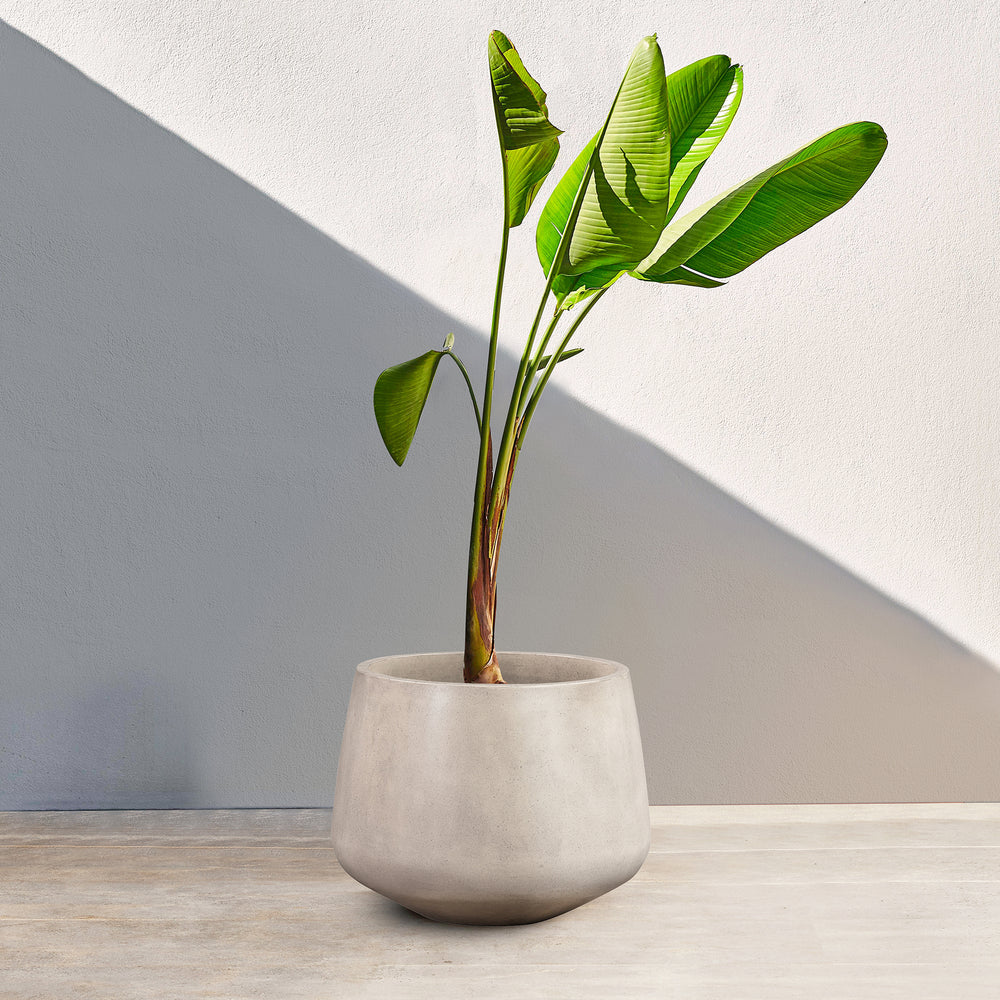 Amethyst Medium Round Lightweight White Concrete Indoor or Outdoor Planter in white Media 1