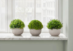 Artificial Plant, 5' Tall, Grass, Indoor, Faux, Fake, Table, Greenery, Potted, Set Of 3, Decorative, Green Plants, Grey Pots perspective