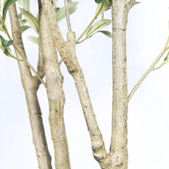 7' Artificial Olive Tree in Black Plastic Pot, 1pc/set perspective