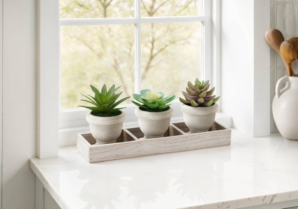 Artificial Plant, Set Of 3, 6' Tall, Succulent, Table, Beige Pots, Contemporary, Modern Media 1