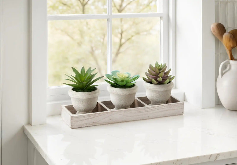 Artificial Plant, Set Of 3, 6' Tall, Succulent, Table, Beige Pots, Contemporary, Modern