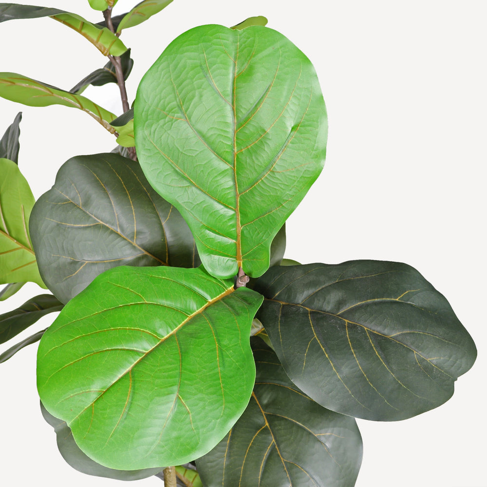 7' Artificial Fiddle Leaf Fig Tree in Black Plastic Pot Media 5