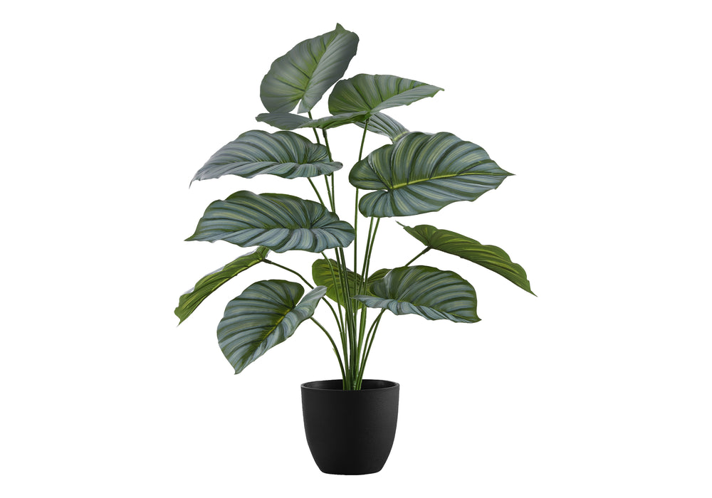 Artificial Plant, 24' Tall, Calathea, Indoor, Faux, Fake, Table, Greenery, Potted, Real Touch, Decorative, Green Leaves, Black Pot Media 2