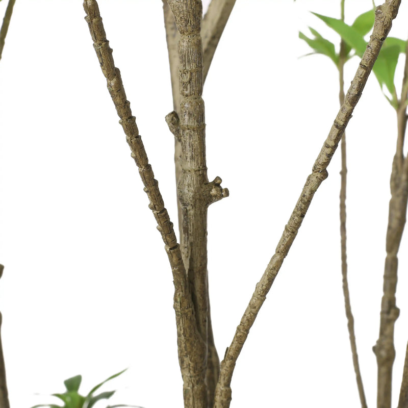 240CMARTIFICIAL PIERIS TREE