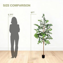6FT Artificial Ficus Tree with Natural Trunk in Black Plastic Pot for Indoor Home Office Decor, 1pc/set perspective