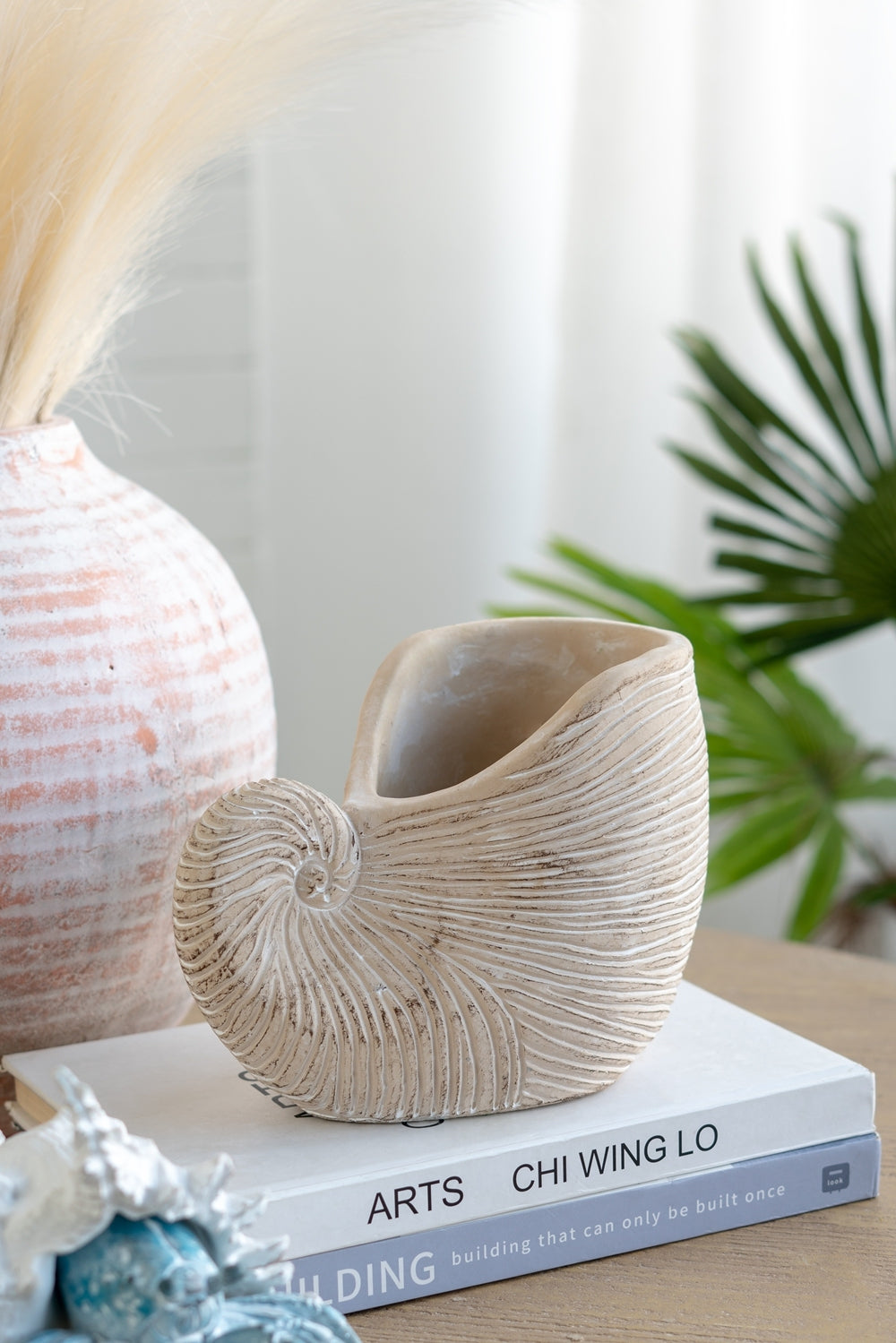 8.5x5.5x6.3' Sand and Cement Nautilus Shell Planter with Textured Beige Finish Media 12