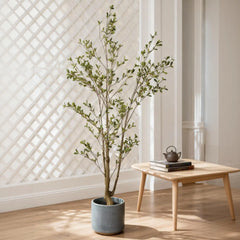 Lifelike Artificial Olive Tree with Black Plastic Pot, Faux Indoor Plant in Green Fabric Leaves, 60-Inch Tall for Home Living Room Decor perspective
