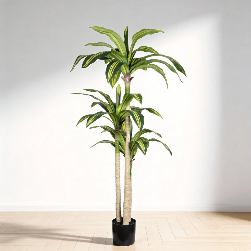 5' Artificial Dracaena Tree with Black Plastic Pot, 1pc/set