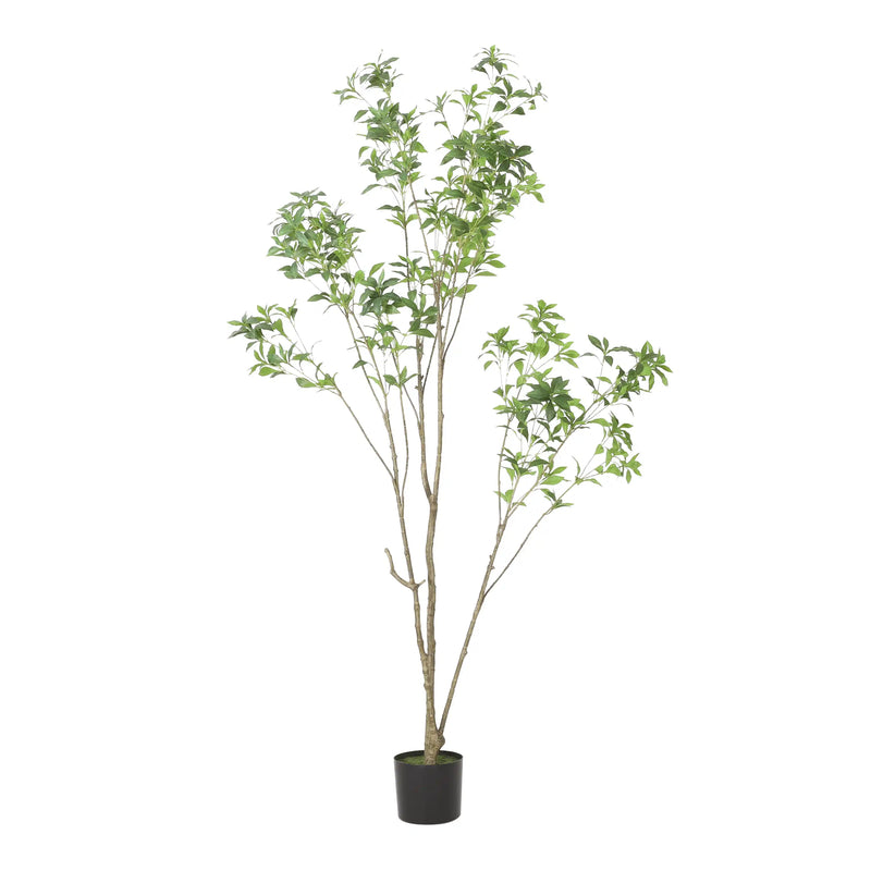 210CMARTIFICIAL PIERIS TREE