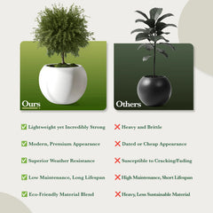DTY Fiberstone Globe Planter Indoor Outdoor — Lightweight Sphere Ball Pot for Olive Tree, Monstera & Palm | Fiberglass Stone | UV Resistant, Drainage Hole | 2 Coco Mats | Black | 12.6" D × 10" H perspective