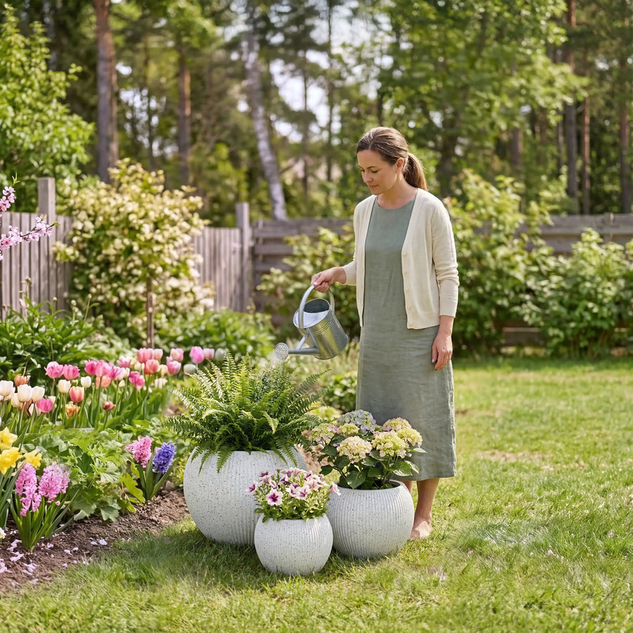The Minimalist