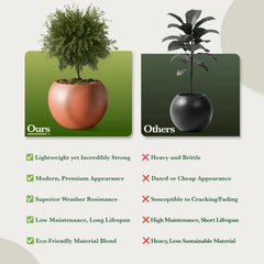 DTY Fiberstone Globe Planter Indoor Outdoor — Lightweight Sphere Ball Pot for Olive Tree, Monstera & Palm | Fiberglass Stone | UV Resistant, Drainage Hole | 2 Coco Mats | Black | 12.6" D × 10" H perspective