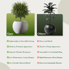 DTY Fiberstone Globe Planter Indoor Outdoor — Lightweight Sphere Ball Pot for Olive Tree, Monstera & Palm | Fiberglass Stone | UV Resistant, Drainage Hole | 2 Coco Mats | Black | 12.6" D × 10" H perspective