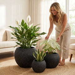 DTY Fiberstone Globe Planter Indoor Outdoor — Lightweight Sphere Ball Pot for Olive Tree, Monstera & Palm | Fiberglass Stone | UV Resistant, Drainage Hole | 2 Coco Mats | Black | 12.6" D × 10" H perspective