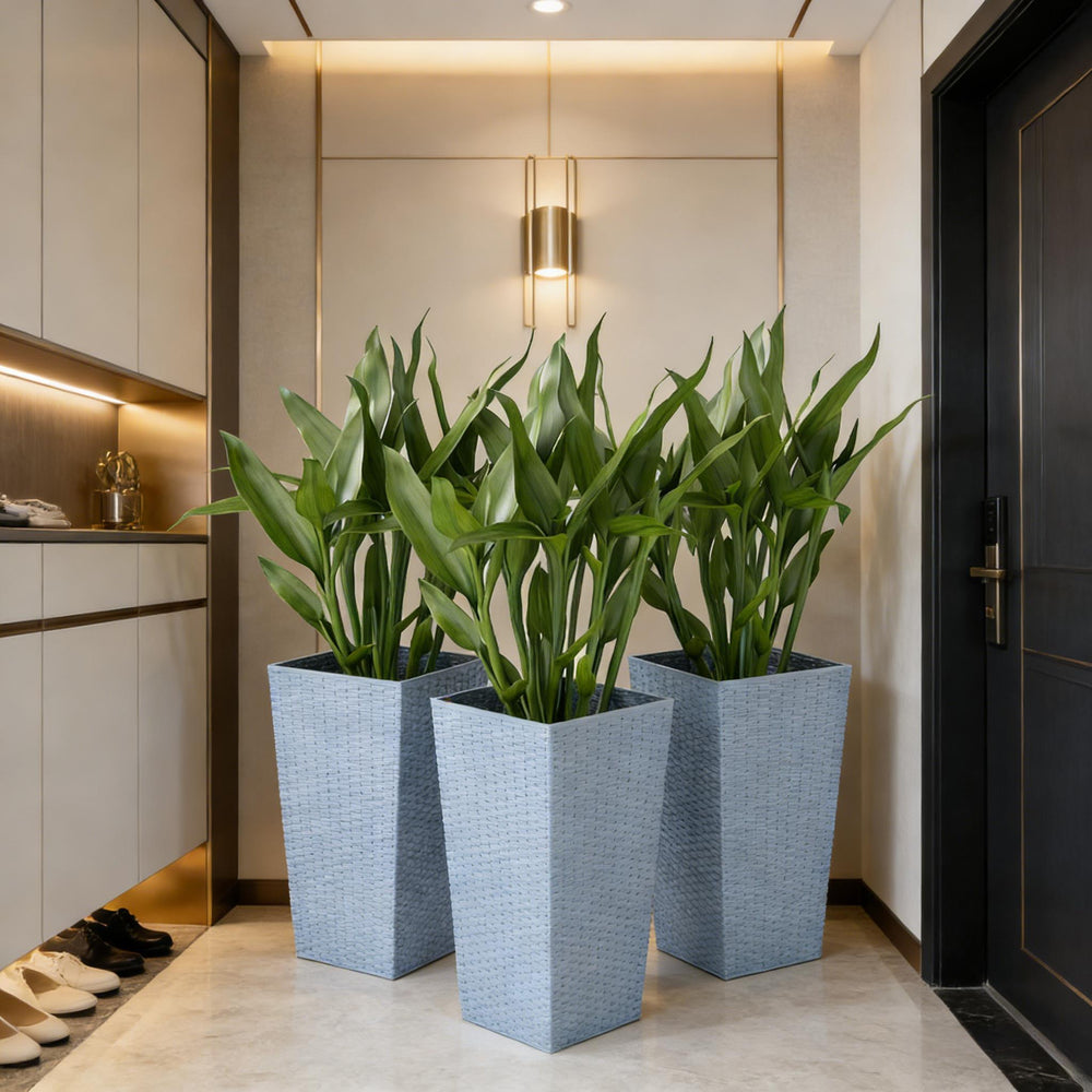 Plants Box Set of 3,Tall Planters Box,Plant Pots Media 7