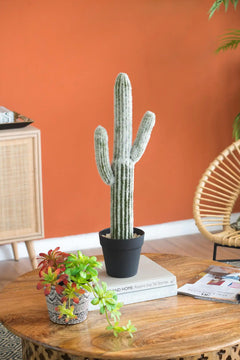 8x5x24.5'H Artificial Saguaro Cactus in Black Pot perspective