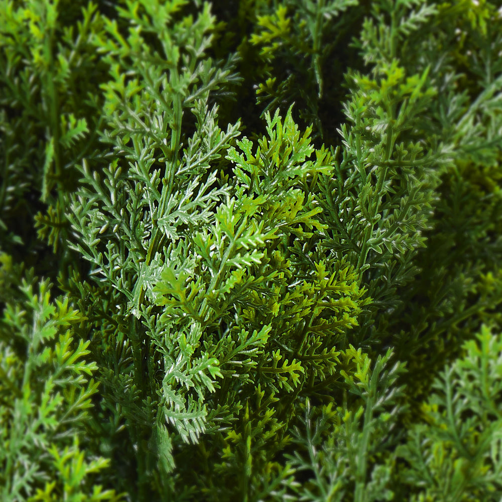 2 Pack 5' Artificial Cedar Topiary Tree Faux Plant UV Decor In/Outdoor Media 5