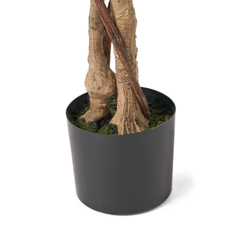 180CM ARTIFICIAL FICUS TREE Media 6