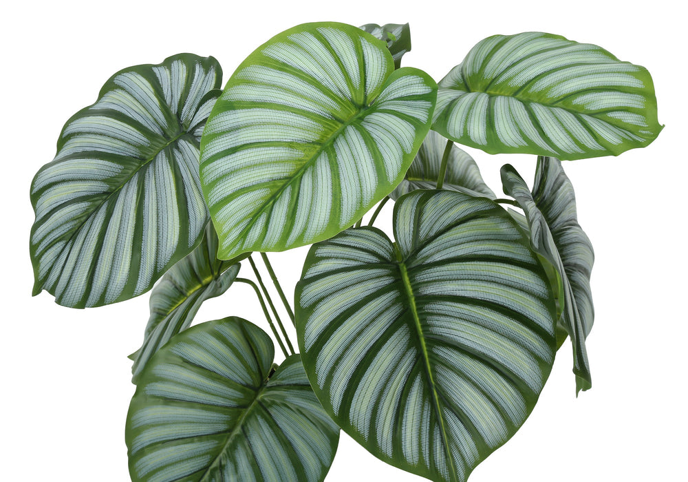 Artificial Plant, 24' Tall, Calathea, Indoor, Faux, Fake, Table, Greenery, Potted, Real Touch, Decorative, Green Leaves, Black Pot Media 5