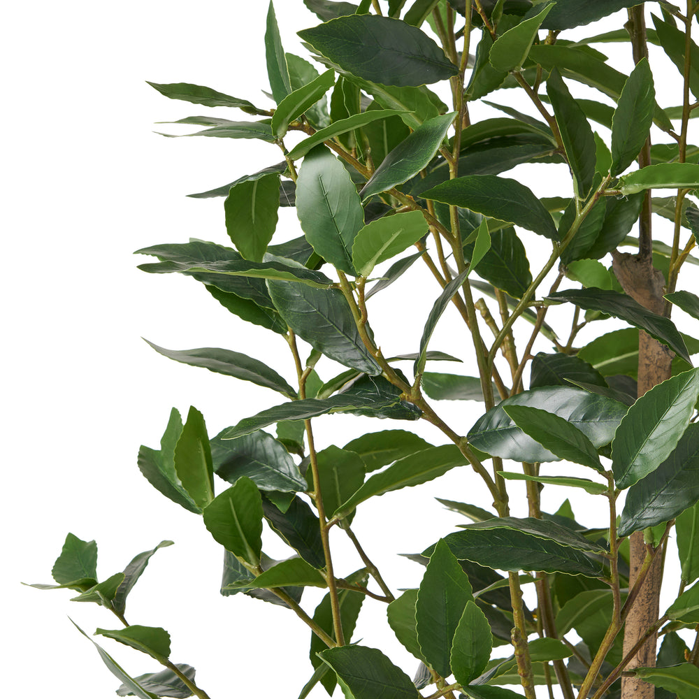 150CM ARTIFICIAL LAUREL TREE Media 5