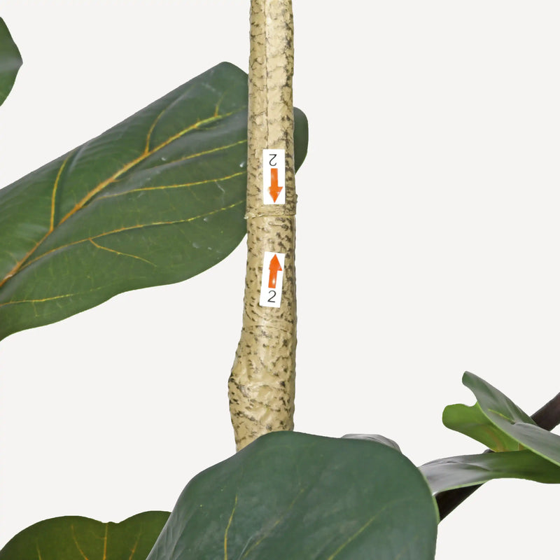 7' Artificial Fiddle Leaf Fig Tree in Black Plastic Pot