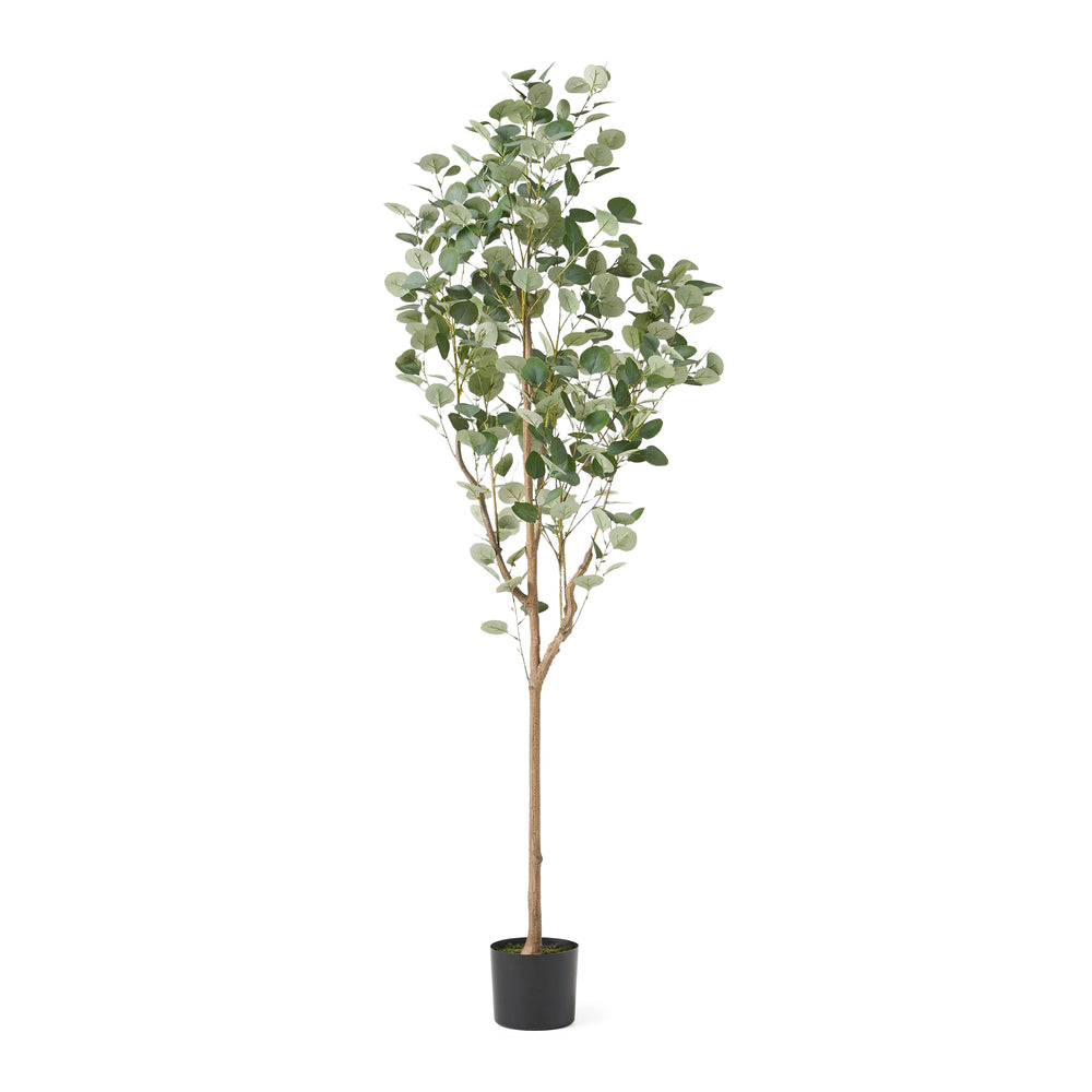 180CM ARTIFICIAL EUCALYPTUS TREE Media 2