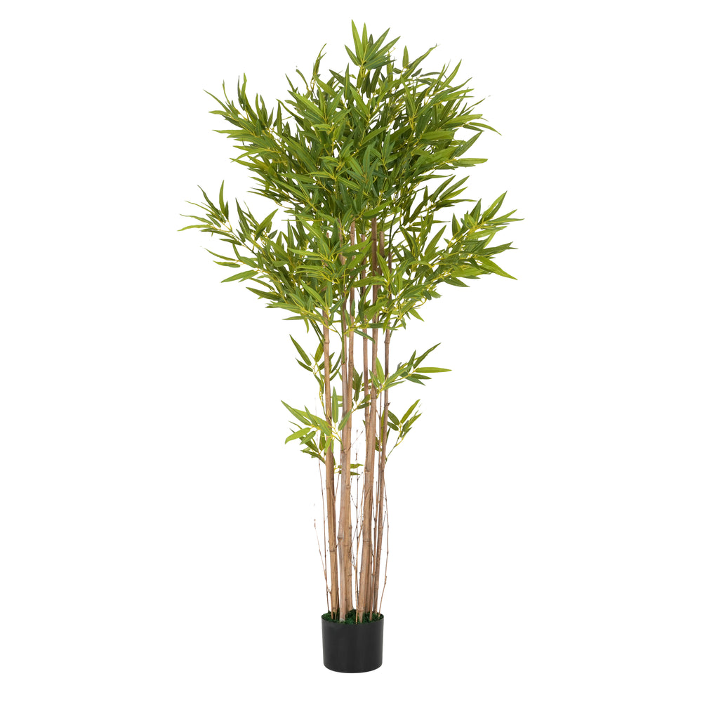 70' Artificial Bamboo with Black Plastic Pot Media 5