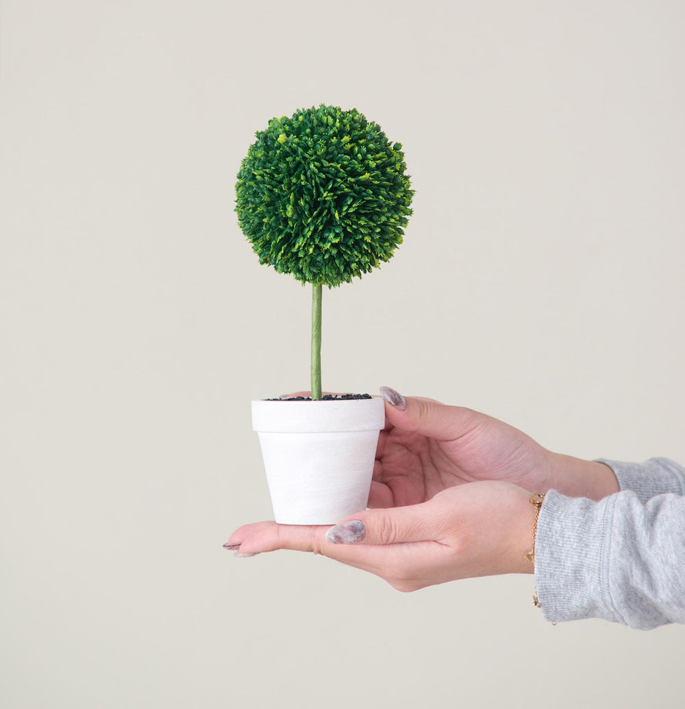 S/4 D3.5x9' Faux Topiaries With Cream Pot Media 3