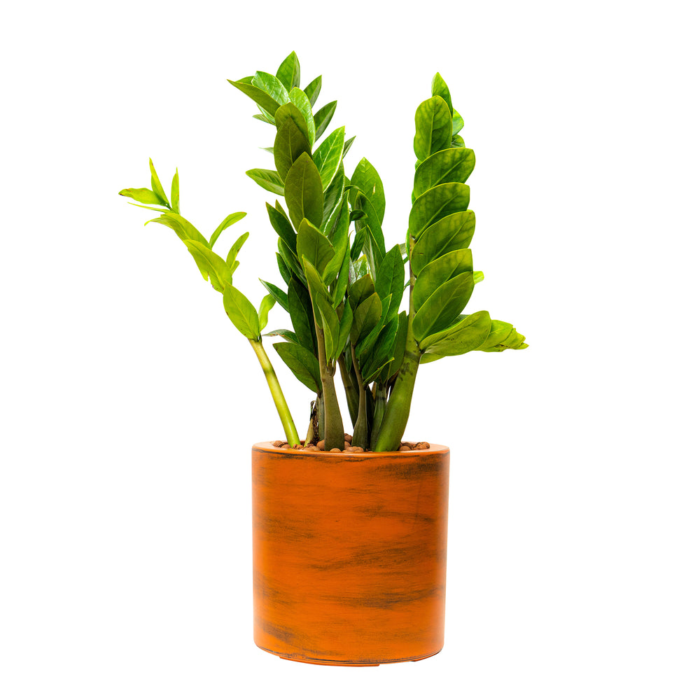 7.8 in. Painted Plastic Self-watering Planter Pot Media 1