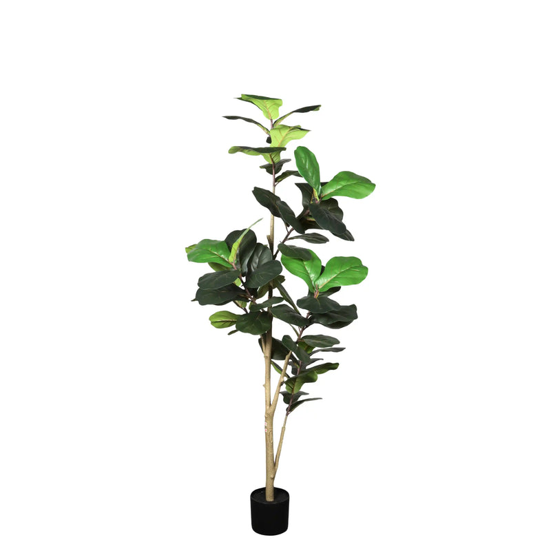 6FT Real Touch Fake Fiddle Leaf Fig Tree in Black Plastic Pot with Green Fabric Leaves, Indoor Decor for Home Office Living Room Corner
