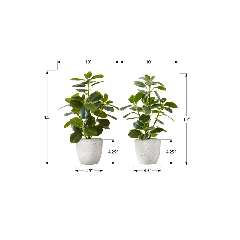 Artificial Ficus Plant Set of 2, 14 Inch Tall Indoor Decorative Table Potted Greenery with White Speckled Pots, Green Leaves, Plastic, 9x10x14 Inches