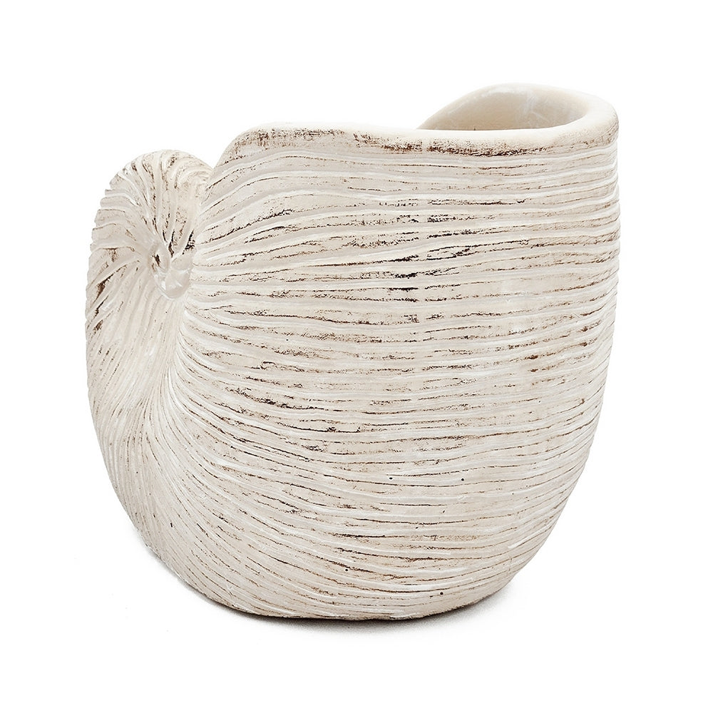 8.5x5.5x6.3' Sand and Cement Nautilus Shell Planter with Textured Beige Finish Media 10