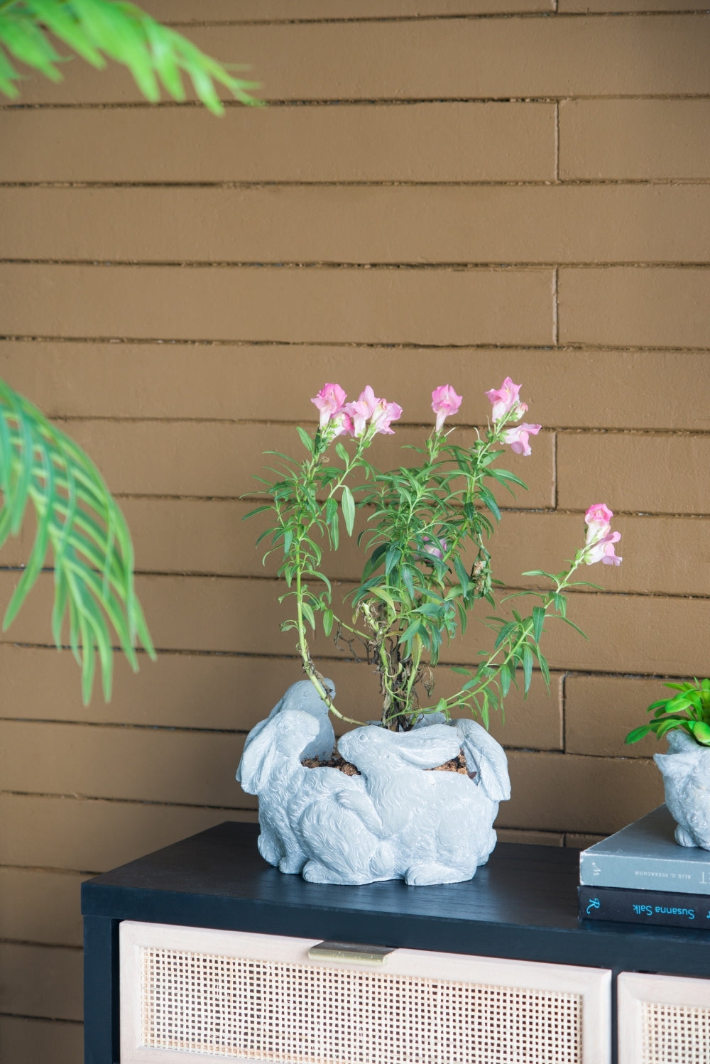 10x8x6.5' 5 Bunny Cement Planter Media 1