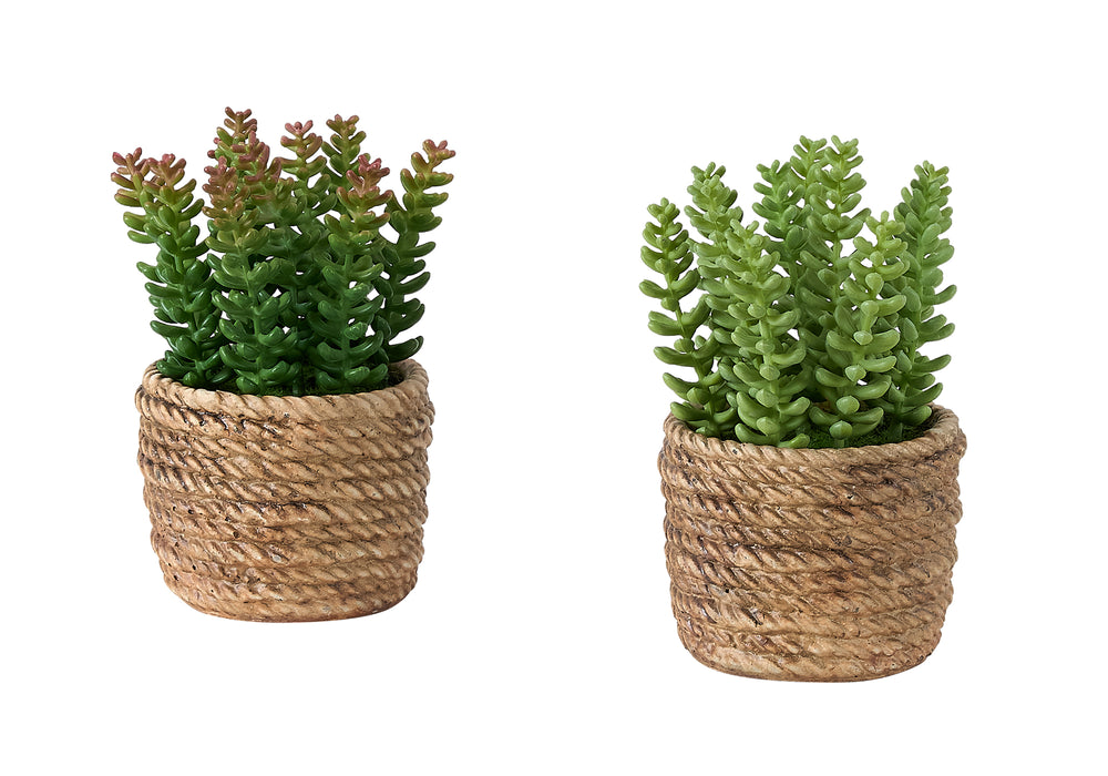 Artificial Plant, Set Of 2, 7' Tall, Succulent, Table, Brown Cement Pots, Contemporary, Modern Media 2