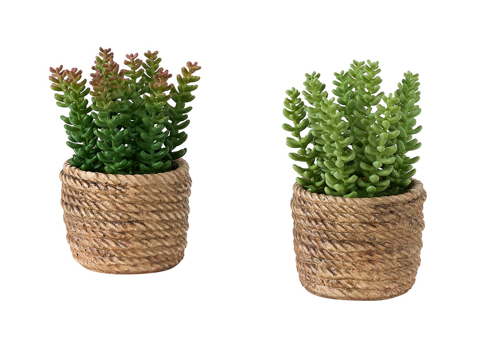 Artificial Plant, Set Of 2, 7' Tall, Succulent, Table, Brown Cement Pots, Contemporary, Modern Media 2