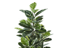 Artificial Plant, 52' Tall, Rubber Tree, Indoor, Faux, Fake, Floor, Greenery, Potted, Real Touch, Decorative, Green Leaves, Black Pot perspective