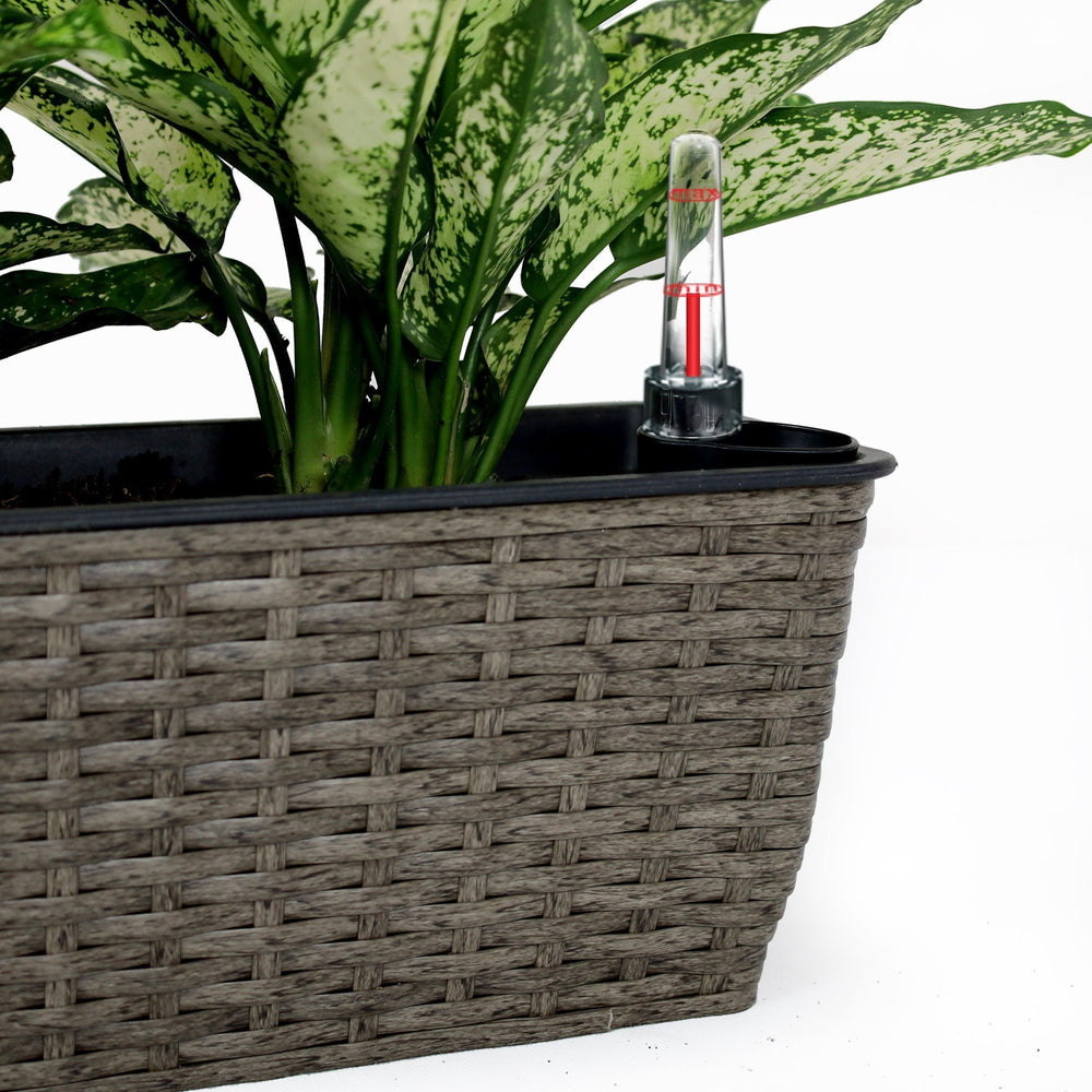 2-Pack Self-watering Planter - Hand Woven Wicker - Rectangular - Dark Gray Media 6