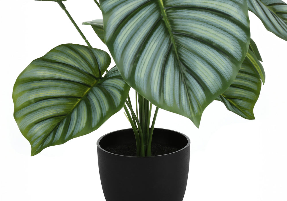 Artificial Plant, 24' Tall, Calathea, Indoor, Faux, Fake, Table, Greenery, Potted, Real Touch, Decorative, Green Leaves, Black Pot Media 3
