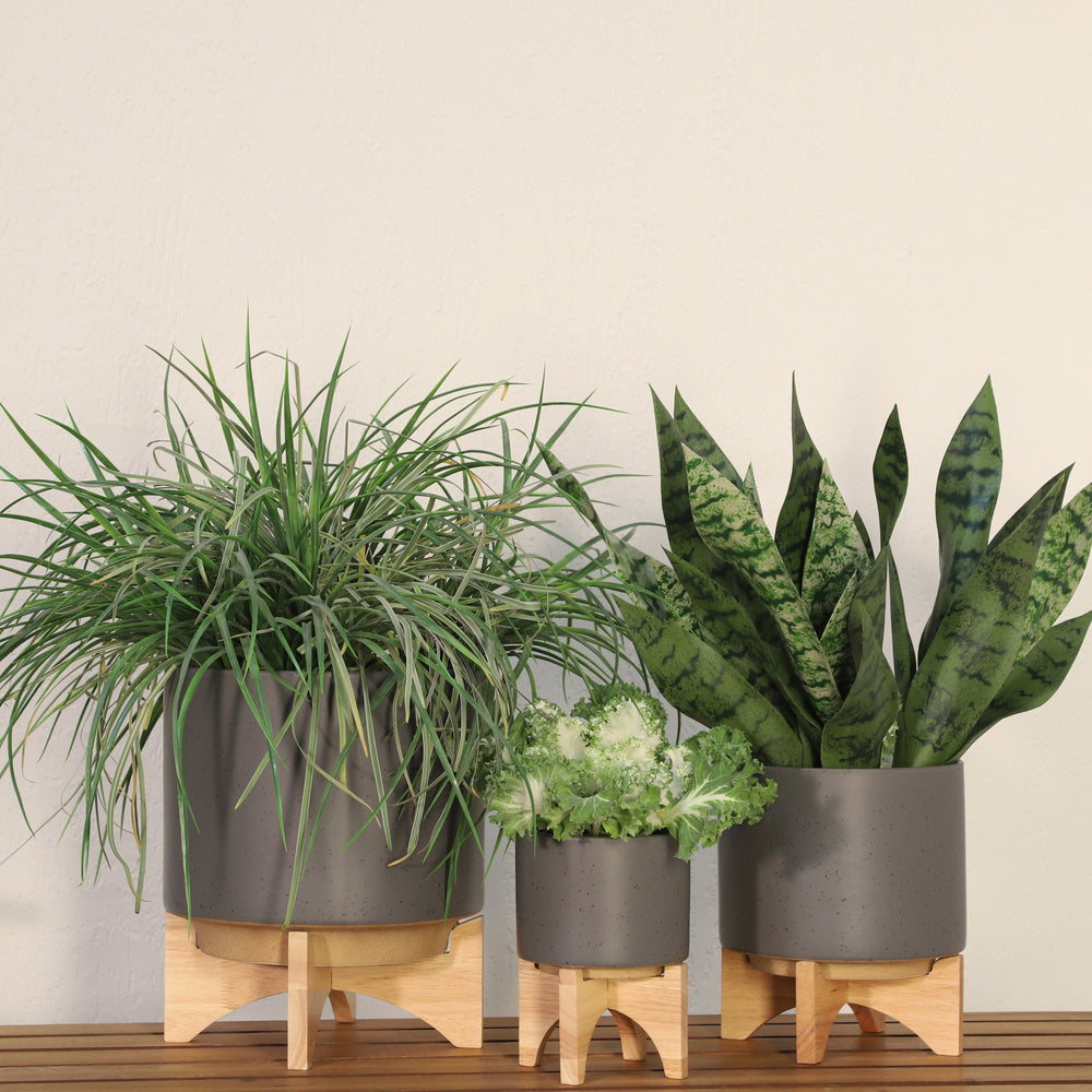 5' PLANTER W/ WOOD STAND, MATTE GRAY Media 1