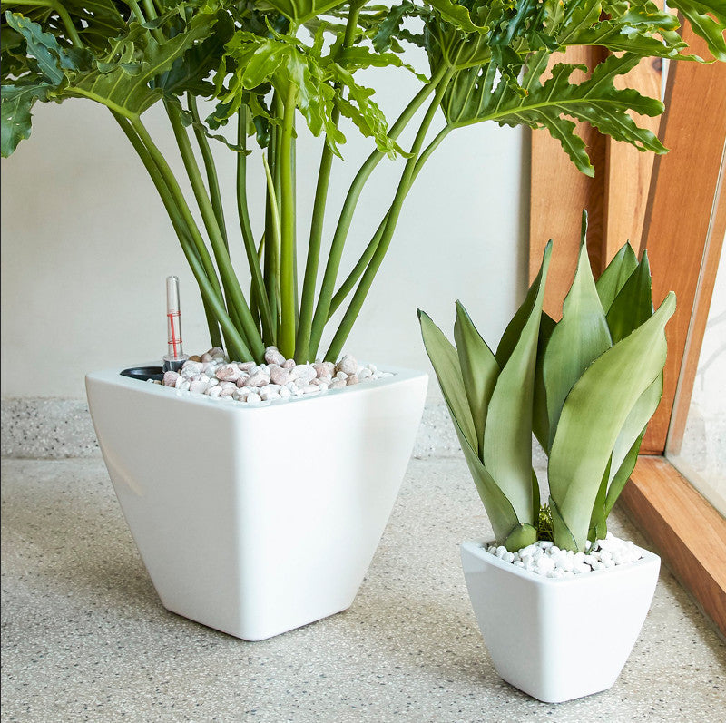 2-Pack Smart Self-watering Planter Pot for Indoor and Outdoor - White - Square Cone Media 2