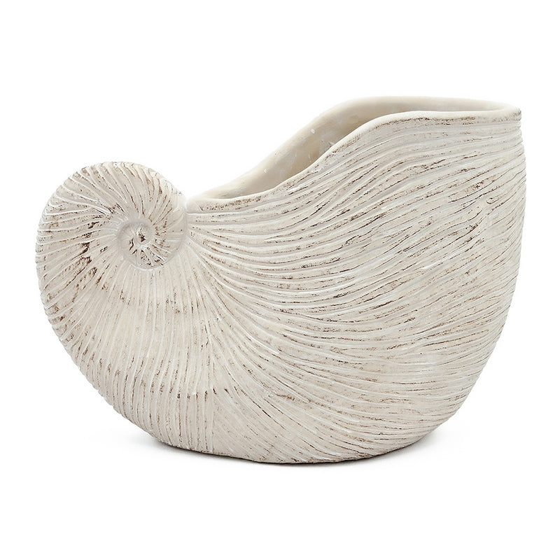 11.5x6.7x7.7' Sand and Cement Nautilus Shell Planter with Textured Beige Finish