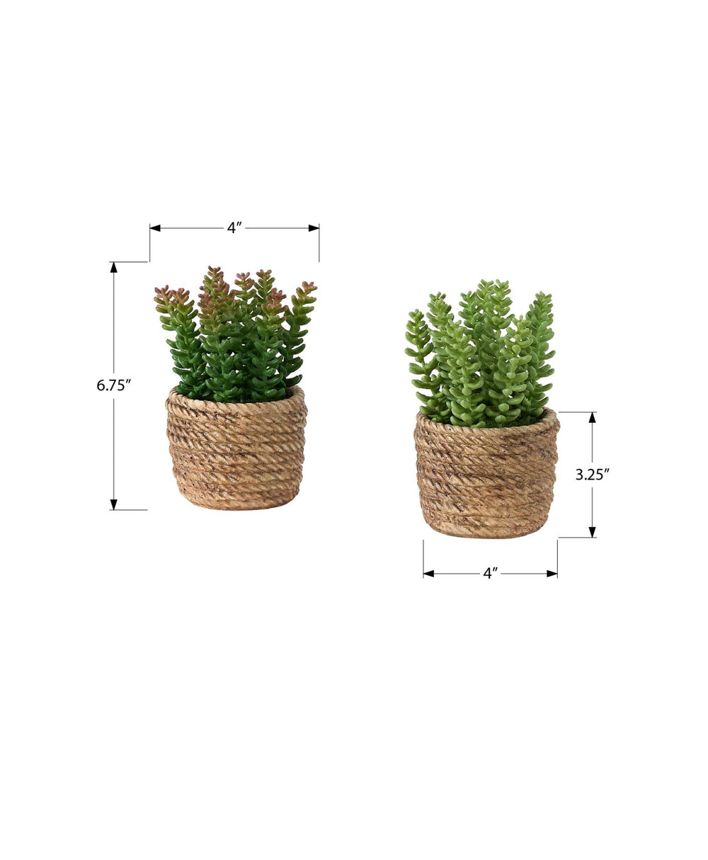 Artificial Plant, Set Of 2, 7' Tall, Succulent, Table, Brown Cement Pots, Contemporary, Modern Media 7
