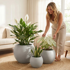 DTY Fiberstone Globe Planter Indoor Outdoor — Lightweight Sphere Ball Pot for Olive Tree, Monstera & Palm | Fiberglass Stone | UV Resistant, Drainage Hole | 2 Coco Mats | Black | 12.6" D × 10" H perspective