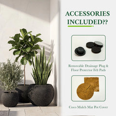 DTY Fiberstone Globe Planter Indoor Outdoor — Lightweight Sphere Ball Pot for Olive Tree, Monstera & Palm | Fiberglass Stone | UV Resistant, Drainage Hole | 2 Coco Mats | Black | 12.6" D × 10" H perspective