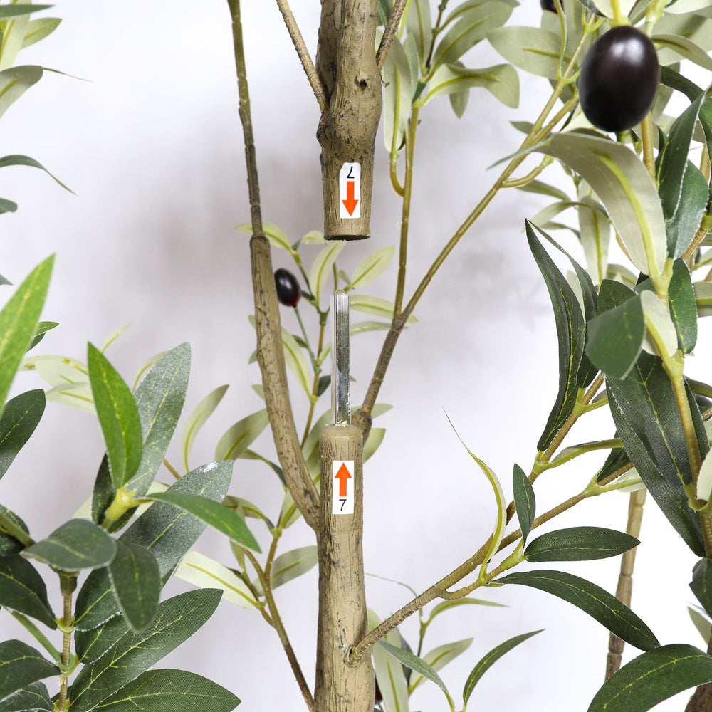 6' Artificial  Olive Tree in Plastic Black Pot, 1pc/set Media 7
