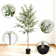 6FT Artificial Olive Tree in Black Plastic Pot, 1pc/set perspective